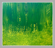Acryl, 140x159cm