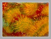 Acryl, 59,5x84cm