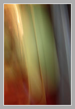 Galerie - Michael Laschet
